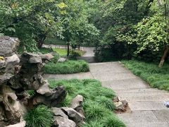 -吴山景区