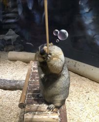 -酷嗒动物文化乐园(cutezoo西溪乐天城店)