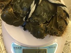 -小陆莲花蟹园农家乐(莲花岛店)