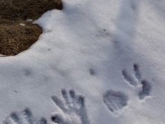 -中旅松花湖滑雪场