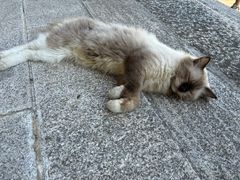 -飞霞风景名胜区