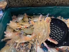 -初色海鲜自助(万丰路店)