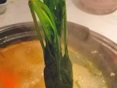 -捞神煲汤火锅(湖滨商业街店)
