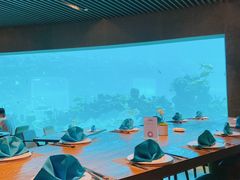 -海棠湾洲际-涛·海底餐厅·美人鱼·自助餐·海底隧道