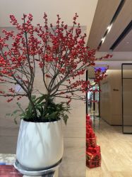 -恒美雅轩·品牌直营连锁