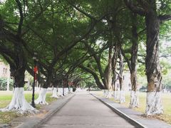 -中山大学-学5食堂