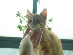 -福州肆爪动物医院
