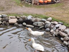 -HERRE·FARM 赫尔露营农场·团建聚会包场