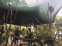 考拉园-可伦宾野生动物保护区