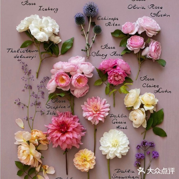 岁月如花，笑看花开，静赏花落是人生的一种极致