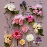 岁月如花，笑看花开，静赏花落是人生的一种极致