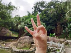 -云洞岩风景区