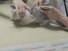 -宠颐生宠物医院外科·内科·皮肤科·影像科(石龙店)