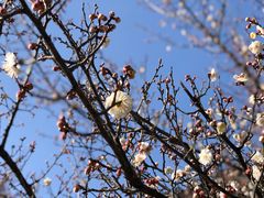 -南京市江宁方山