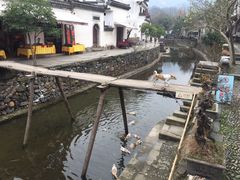 -绩溪龙川景区