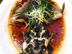 清蒸笋壳鱼-清心鸡沙田乳鸽店·非遗传承(石溪店)
