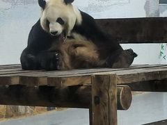 -无锡动物园·太湖欢乐园