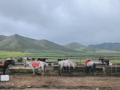 -扁都口生态休闲旅游区