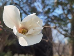 -白塘生态植物园