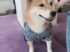 -怪兽屋·羊驼·猫咖·狗咖(俊华广场店)