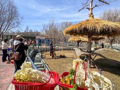 -水上乐园·欢乐世界