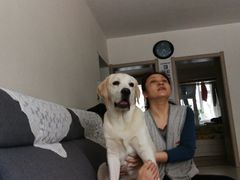 -全聚德(长江路店)