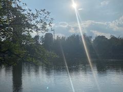 -MAP CHA普洱茶馆(翠湖店)