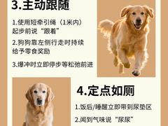 -翊宠yipet猫狗购宠庄园