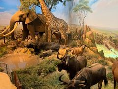 -陕西自然博物馆