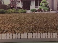 -常州奔牛国际机场