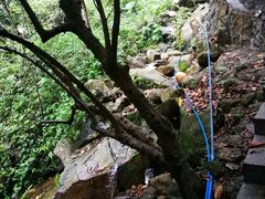 -火炉山森林公园