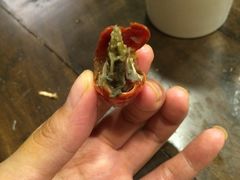 -世纪缘国际会议中心·中餐厅(百家湖店)