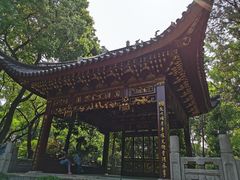 -汇龙潭