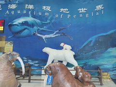 -蓬莱欧乐堡海洋极地世界