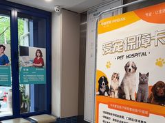 -伟伟宠物医院·CT影像中心·瑞派犬猫综合性门诊(汉口总院)