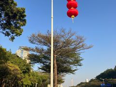 -深圳国际园林花卉博览园