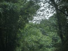 -海窝子古镇
