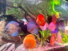 -上海海洋水族馆