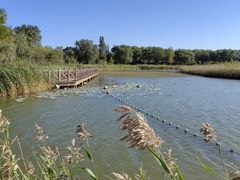 -野鸭湖国家湿地公园