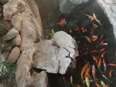 -森谷美食公园(杨行店)