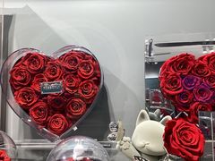 -ROSEONLY诺誓(国际广场购物中心店)