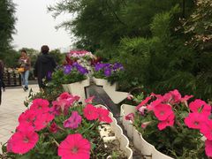 -昆山城市生态森林公园