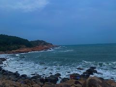 -广东惠东海龟国家级自然保护区