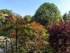 -三江森林温泉度假区