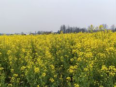 -中国天府农业博览园