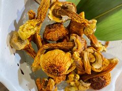 -探窝·竹笙椰子鸡(杨箕店)