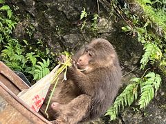 -西岭雪山大飞水景区
