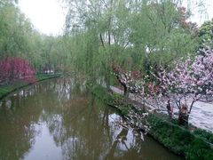 android_upload_pic-南汇桃花村