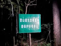 -紫金山山顶公园