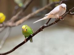 -上海大自然野生昆虫馆